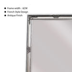 Elegant Collections French Provincial Mirror Freestanding Antique Silver